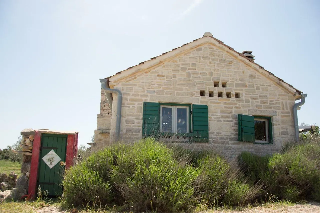 בית הארחה Gorica  	Country House Olive Garden Gorica (Zadar)